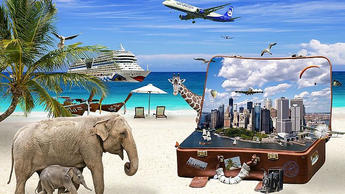 Möbel einlagern Zürich bei Weltreise