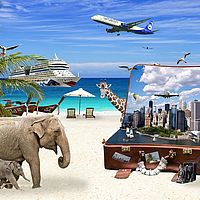 Möbel einlagern Zürich bei Weltreise